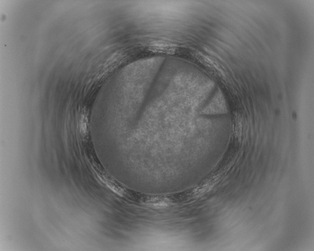 X0000089341154200707060952