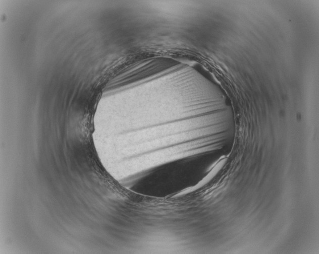 X0000089341156200707060952