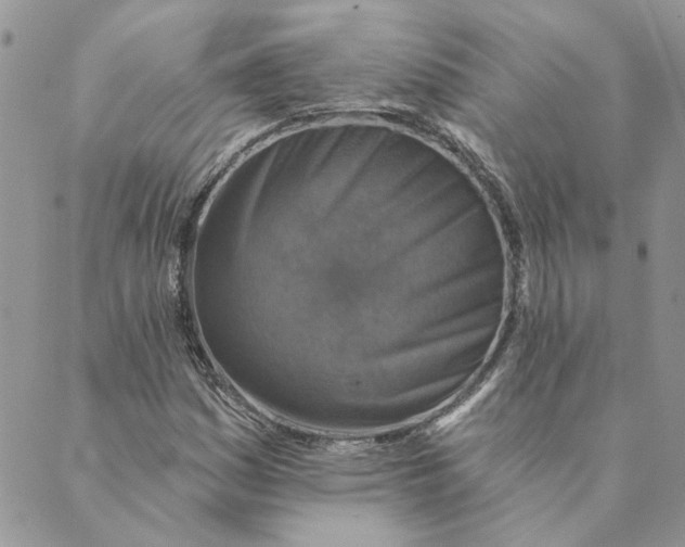 X0000089341161200707060952