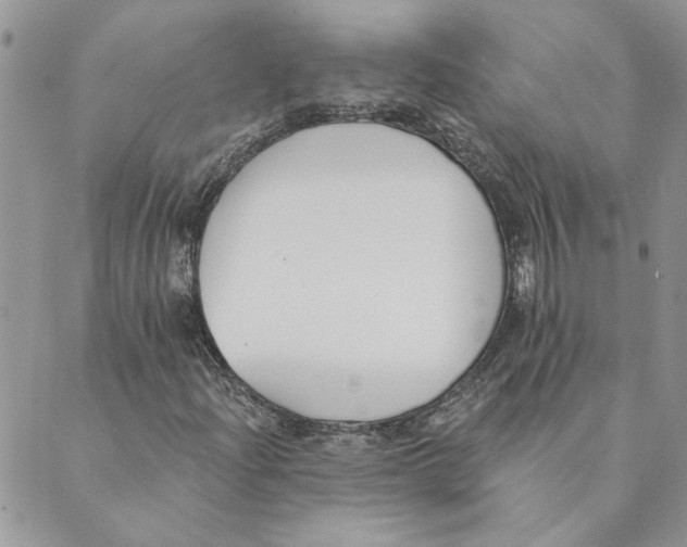 X0000089341204200707060951