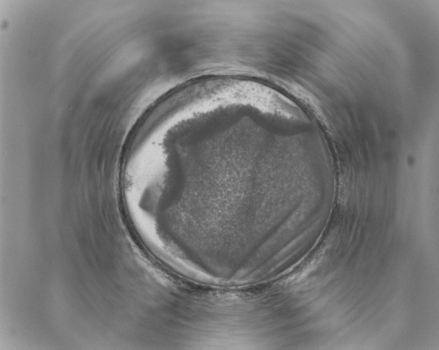 X0000089341231200707060951