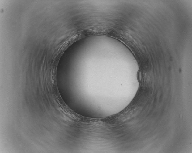 X0000089341250200707060951