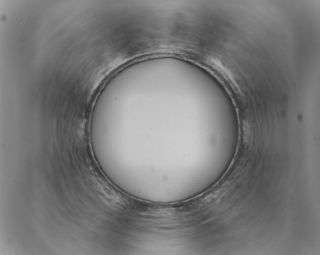 X0000089341260200707060951