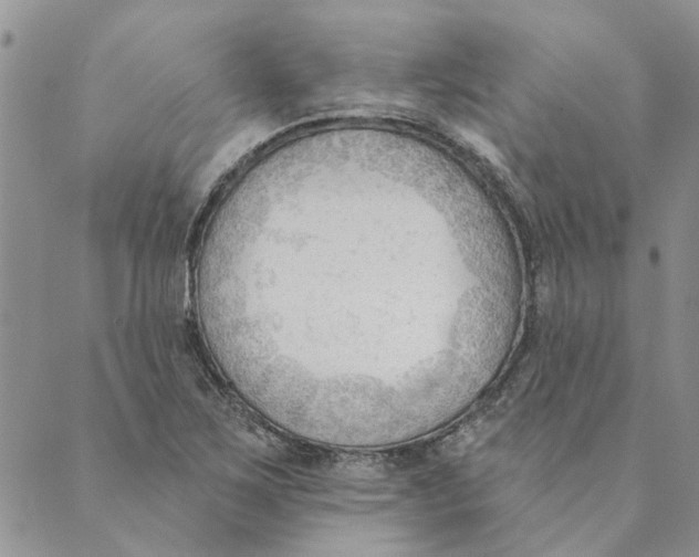 X0000089341267200707060951