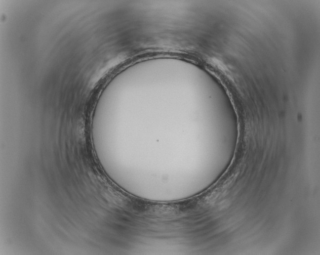 X0000089341307200707060950