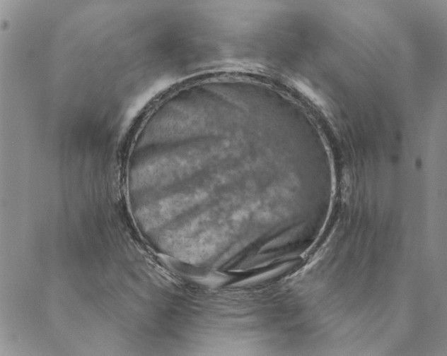X0000089341310200707060950