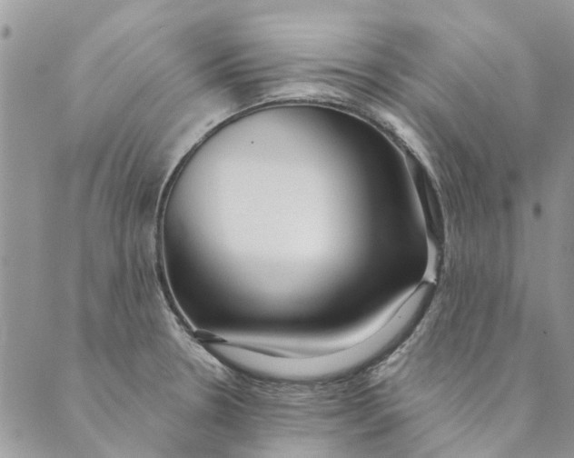 X0000089341330200707060950