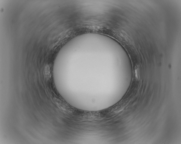 X0000089341347200707060949