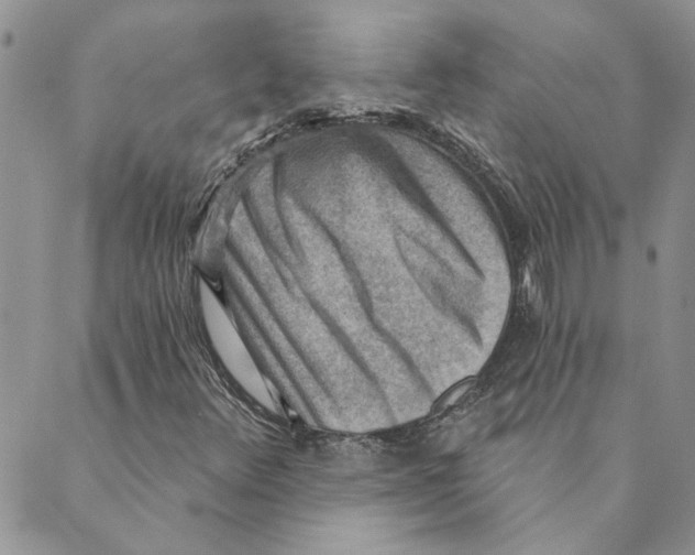 X0000089341348200707060949