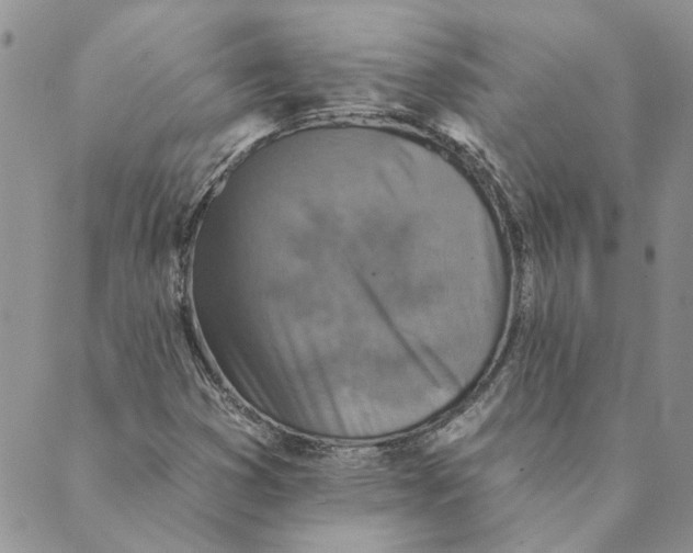 X0000089341353200707060949