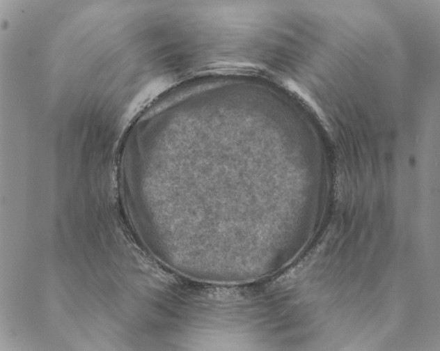 X0000089341362200707060949