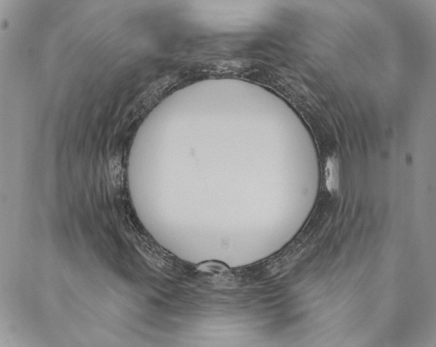 X0000089341395200707060948