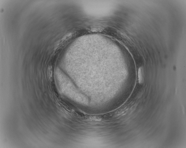 X0000089341443200707060948