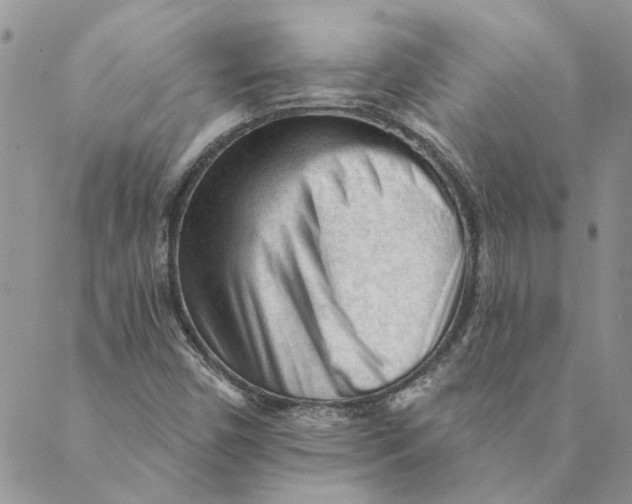X0000089341450200707060948