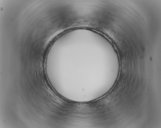 X0000089341452200707060948