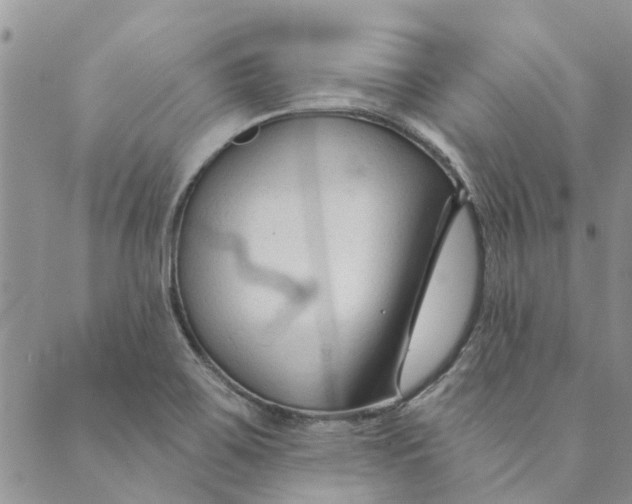 X0000089341467200707060947