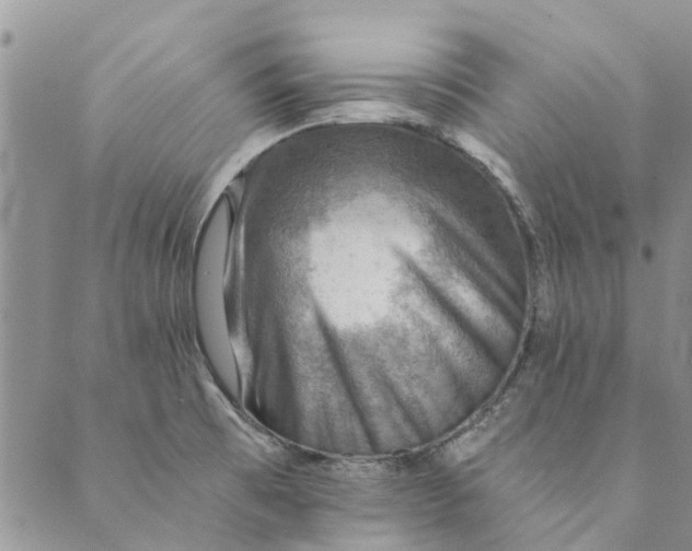 X0000089341473200707060947