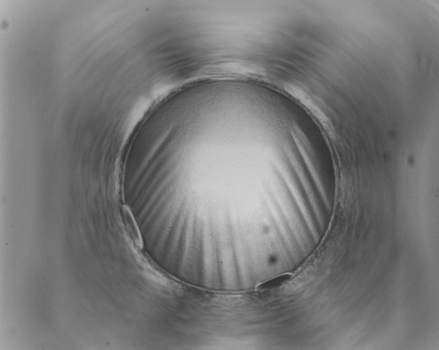 X0000089341477200707060947