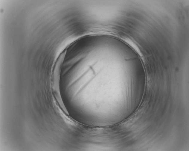 X0000089341485200707060947