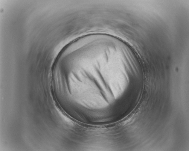 X0000089341519200707060947