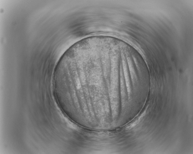 X0000089341533200707060947