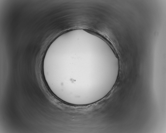 X0000089340001200707131521