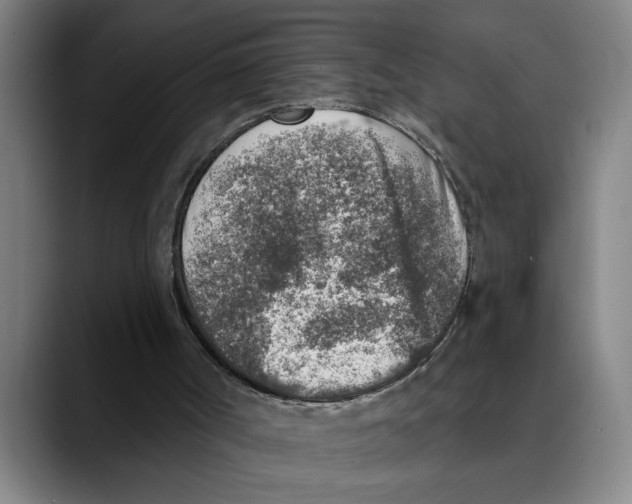 X0000089340002200707131521