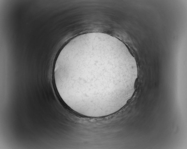 X0000089340003200707131521