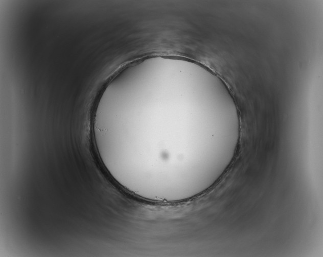 X0000089340005200707131521