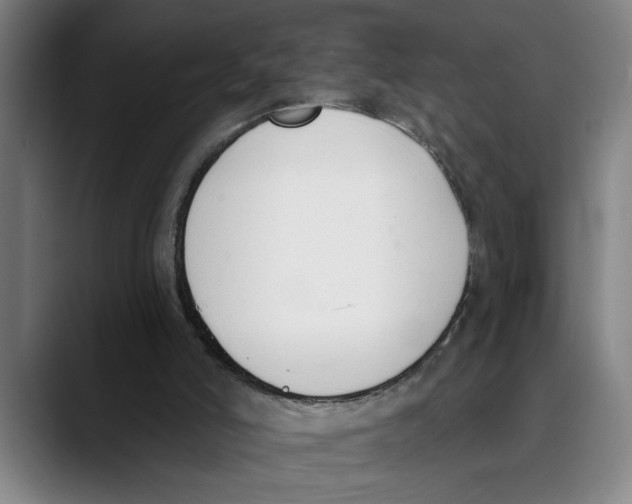 X0000089340006200707131521