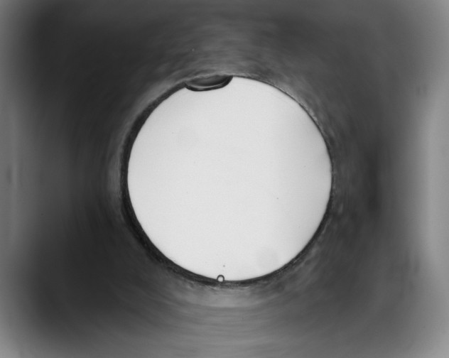 X0000089340008200707131521