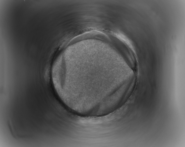 X0000089340009200707131521