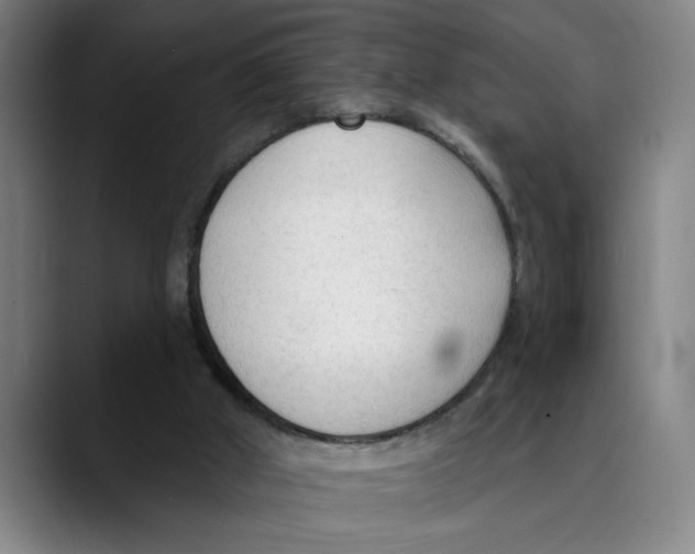 X0000089340010200707131521