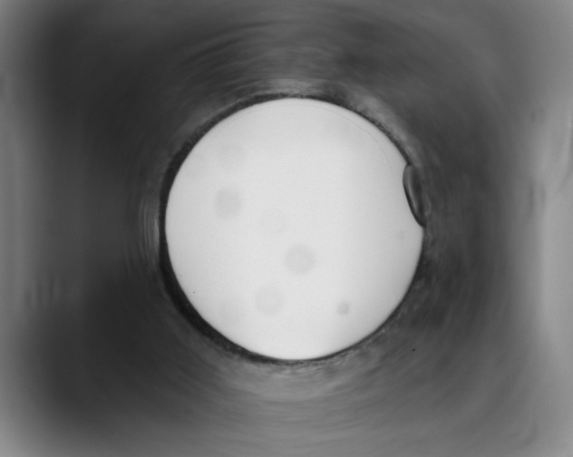 X0000089340011200707131521