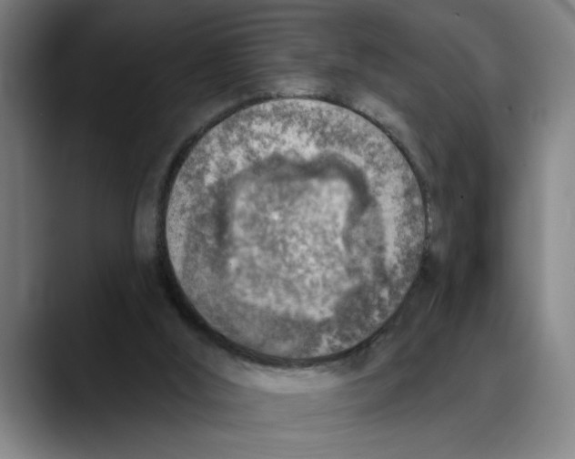 X0000089340012200707131521