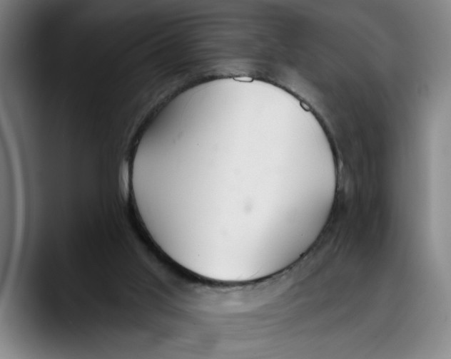 X0000089340013200707131521