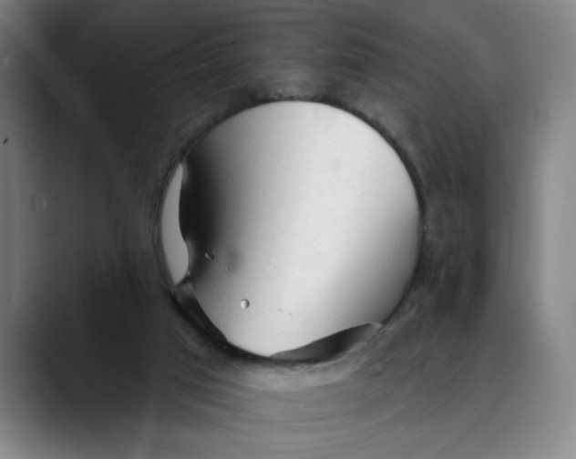 X0000089340017200707131521