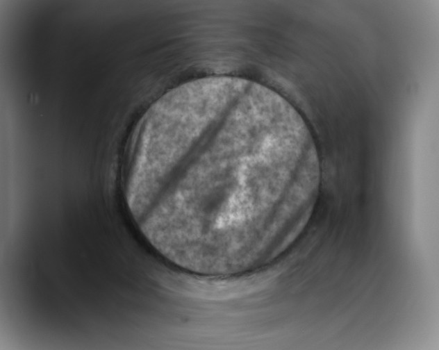 X0000089340018200707131521