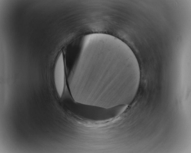 X0000089340019200707131521