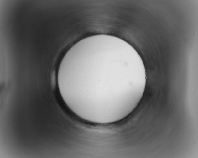 X0000089340020200707131521