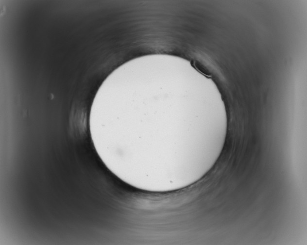 X0000089340021200707131521