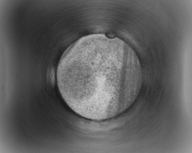 X0000089340022200707131521