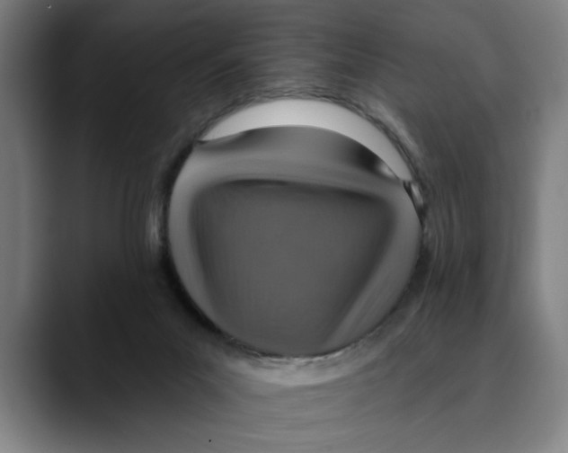 X0000089340023200707131521