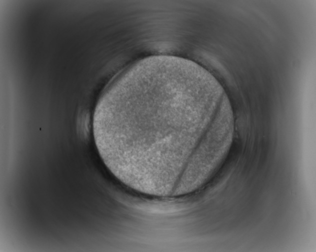 X0000089340024200707131521