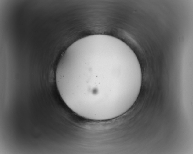 X0000089340025200707131521