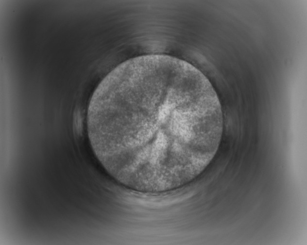 X0000089340026200707131521