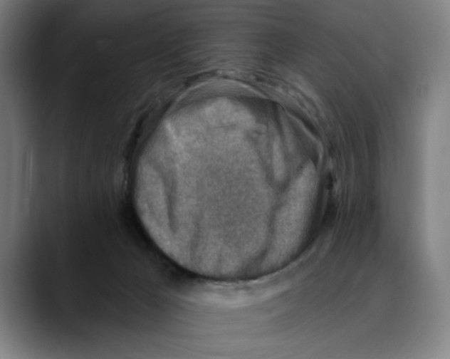 X0000089340029200707131521