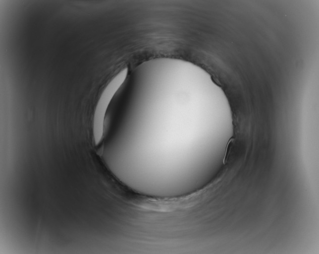 X0000089340033200707131521