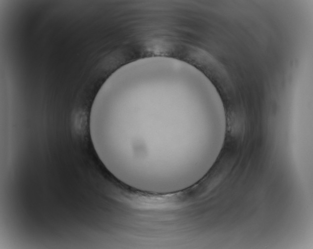 X0000089340036200707131521