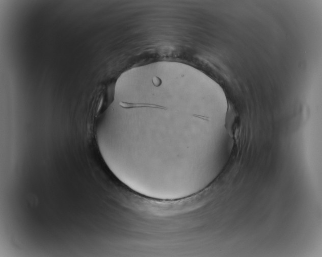 X0000089340039200707131521